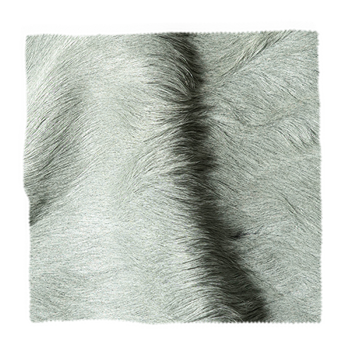 Hair on Hide, Silver Lining