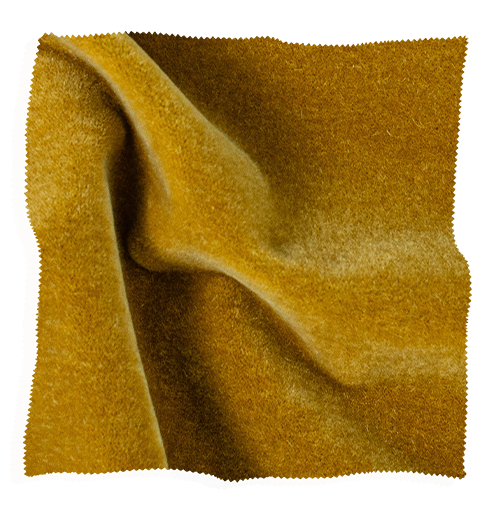 Golden velvet fabric swatch from Coley Home, perfect for luxurious upholstery and decor projects.