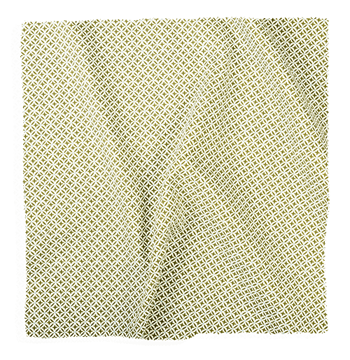 Green and beige fabric swatch from Coley Home.