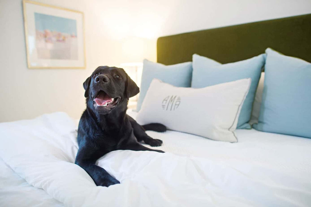 A Master Bedroom Update