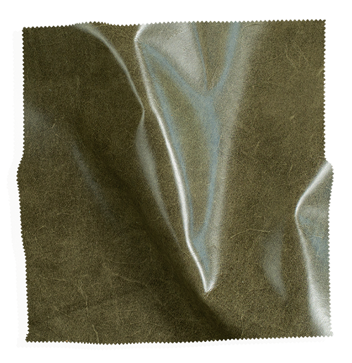 Olive green fabric swatch from Coley Home.com with a smooth, textured surface.