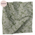 Wilder, Fern