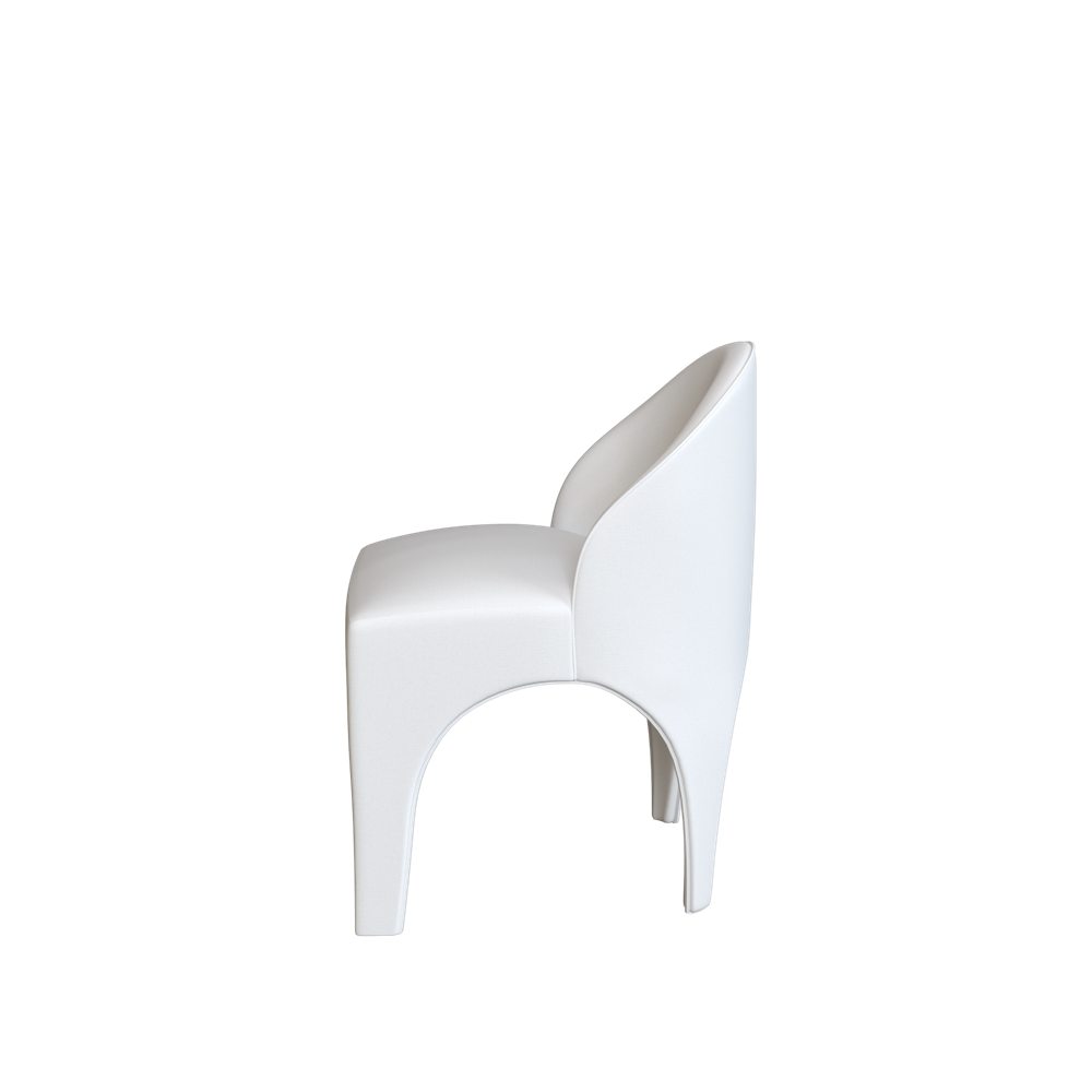 Coley Home Sophie Dining Chair