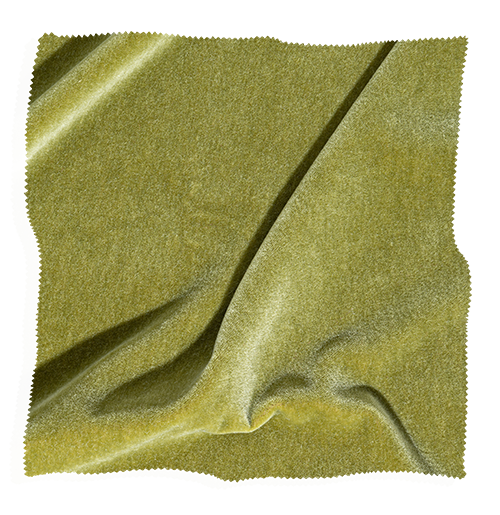 Olive green fabric swatch from Coley Home, showcasing texture and color for upholstery and design.