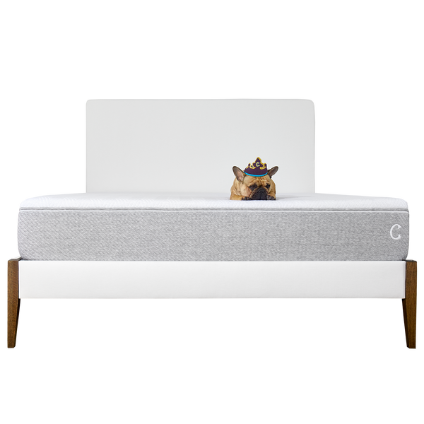 Coley Home bed with white headboard and patterned mattress, featuring a small decorative crown pillow.
